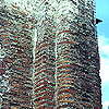.    (). 1191-1194